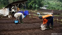 detikcom bersama BRI mengadakan program Jelajah UMKM ke beberapa wilayah di Indonesia yang mengulas berbagai aspek kehidupan warga dan membaca potensi di daerah. Untuk mengetahui informasi lebih lengkap, ikuti terus beritanya di detik.com/tag/jelajahumkmbri.