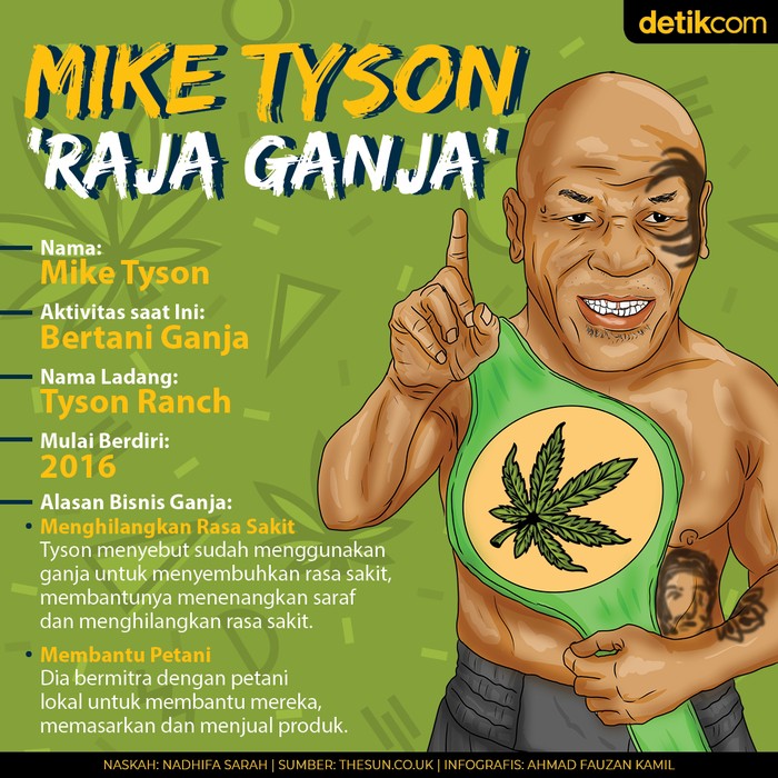 Mike Tyson Bertani Ganja