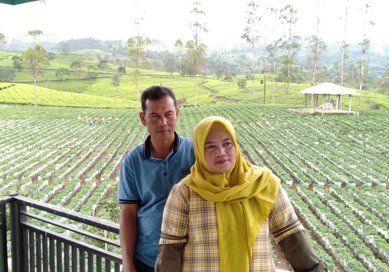 Petani Strawberry Bandung - BRI