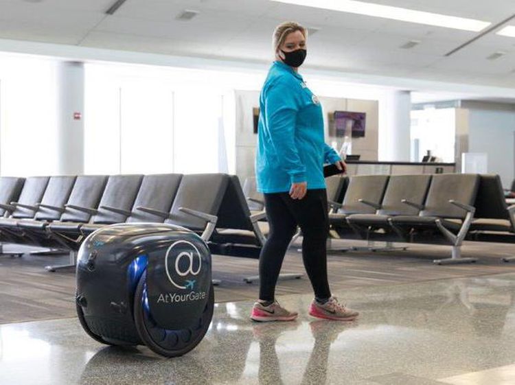Foto: Robot Gita, Si Pengantar Makanan di Bandara