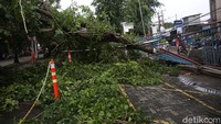 Sedikitnya tujuh pohon tumbang terjadi di Kota Bekasi, Jawa Barat, akibat hujan deras yang disertai angin kencang, Jumat (26/2/2021) dini hari.