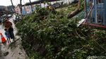 Akibat Hujan dan Angin Kencang 7 Pohon Tumbang di Kota Bekasi