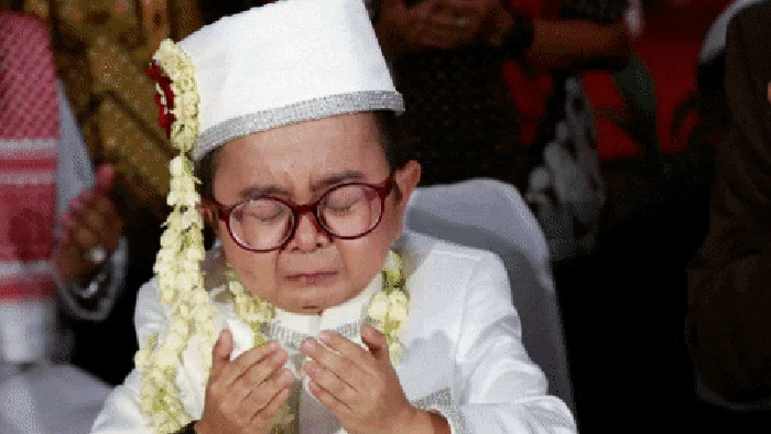 Daus Mini