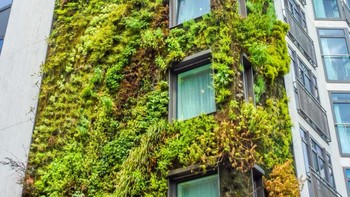 Hotel Athenaeum di Londong, Inggris yang sebagiannya tertutup tanaman hijau. Foto: Brightside