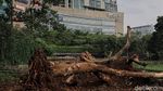 Kontroversi Pembangunan Mal yang Disorot JK Bikin Kemang Banjir