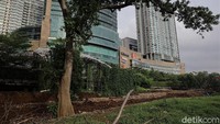 Danang menyebutkan, selama 14 tahun berjalan, belum pernah ada yang menyoroti pembangunan mal tersebut. Malah, menurutnya, mal Kemang itu menjadi salah satu pembangunan yang tidak merusak lingkungan.