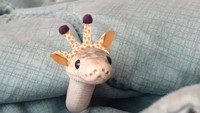 Ular ini terlihat menggemaskan keluar dari balik selimut dengan topi jerapahnya.