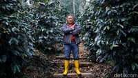 Kopi memang komoditas asli Indonesia yang sudah dikenal dunia dan punya potensi yang menjanjikan. Salah satu jenis kopi yang saat ini terus berkembang ialah Kopi Malabar Indonesia dari Kabupaten Bandung. Usai tembus pasar Asia, Kopi Malabar kini membidik pasar Eropa.