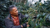 Dijelaskannya, Kopi Malabar merupakan agrobisnis kopi yang menawarkan pengolahan kopi dari hulu ke hilir. Kopi Malabar Indonesia juga menawarkan edukasi kopi, all mountain, outbond, hingga fun offroad.