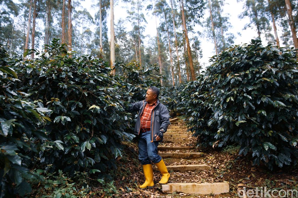 Mengenal H Nuri Pendiri Kopi Malabar Indonesia Usai tembus pasar Asia, Kopi Malabar kini membidik pasar Eropa. Yuk berkenalan dengan Pendiri Kopi Malabar Indonesia, Supriatnadinuri atau biasa dikenal H Nuri.