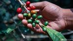 Mengenal H Nuri Pendiri Kopi Malabar Indonesia