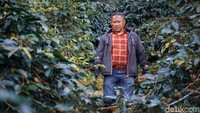 Mulai dari CSR home stay untuk peserta yang sedang ikut pelatihan di Kopi Malabar dan para anggota petani yang mendapatkan KUR untuk peternakan domba yang terintegrasi dengan kebun kopi.
