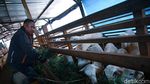 Mengenal H Nuri Pendiri Kopi Malabar Indonesia