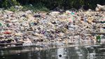 Nasib Monyet Ekor Panjang di Pesisir Jakarta