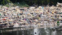 Permasalahan lainnya adalah, keberadaan sampah yang sering menumpuk di sekitar kawasan pesisir Jakarta. Sampah yang dibuang manusia juga menjadi incaran terhadap monyet-monyet yang hidup di sana.   