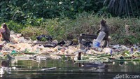 Sejak dulu keberadaan Monyet ekor panjang tinggal dan hidup di sekitar kawasan tersebut dan mampu bertahan dari pesatnya pembangunan. Berkembang biak dan menjadi sejumlah kelompok yang sampai saat terus mempertahankan eksistensi kehidupannya.  