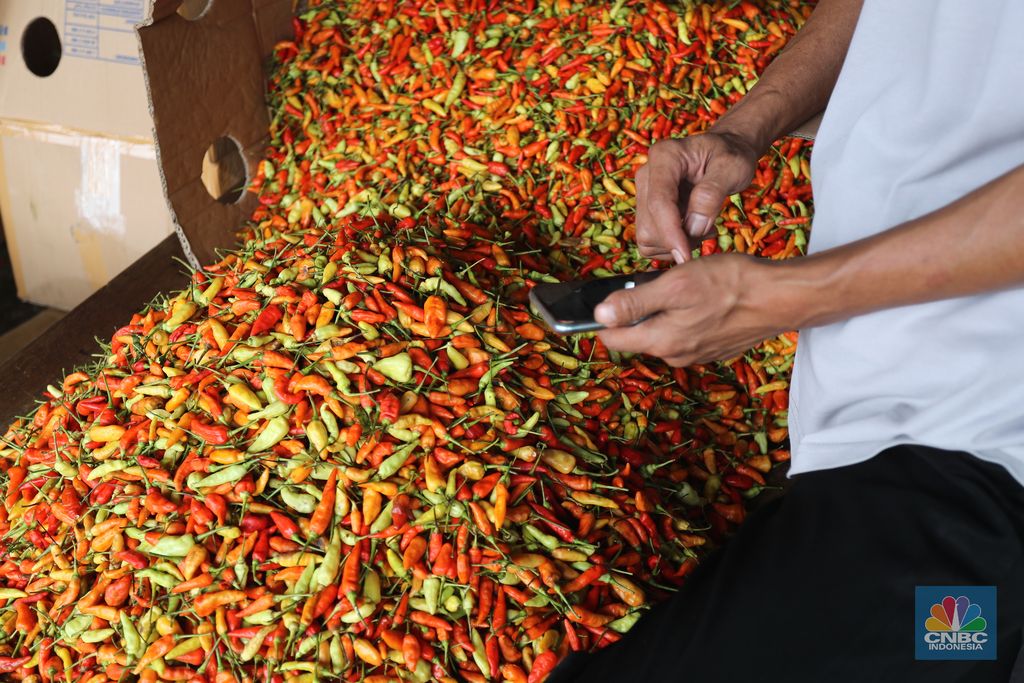 Sejumlah pedagang melakukan bongkar muat cabai rawit merah di Pasar Kramat Jati, Jakarta, Jumat (26/2/2021). Cabai rawit merah kini naik 100 ribu per kilogram yang sebelumnya hanya 60 ribu per kilogram, kenaikan diduga faktor dari cuaca ekstrem. Susanto (58) pedagang asal Jawa Tengah yang membuka lapak di Los H mengatakan 