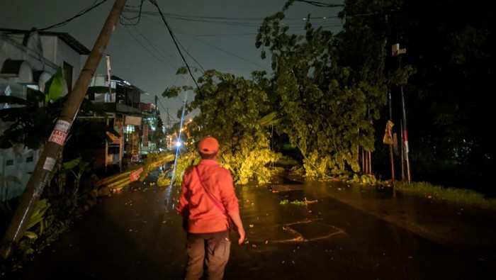 Pohon tumbang di Bekasi akibat hujan lebat disertai angin kencang semalam (dok. BPBD Kota Bekasi)