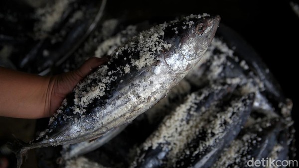 Raup Untung Belasan Juta Lewat Bisnis Olahan Ikan Pindang