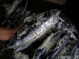 Raup Untung Belasan Juta Lewat Bisnis Olahan Ikan Pindang