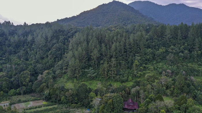 REMPAH EKSOTIS DARI TANAH BATAK Sejumlah produk jadi buah andaliman yang telah dikeringkan di Desa Ps Lumban Julu, Kabupaten Toba Samosir, Sumatera Utara.