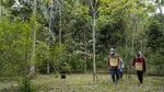 Rempah Eksotis dari Tanah Batak