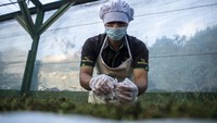 Andaliman memiliki citarasa yang unik dan khas, rasanya pedas menggigit dan getir di lidah. Bumbu ini yang kemudian membuat mayoritas masakan Batak memiliki rasa pedas khas yang kuat.  