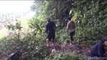 Foto: Air Terjun Alami dari Kutai Kartanegara