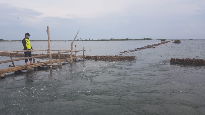 Bhabinkamtibmas pantau pematang tambak yang ikut jebol imbasnya jebolnya tanggul pantai hingga tenggelamkan 20 hektare tambak. (Abdy Febriady/detikcom)