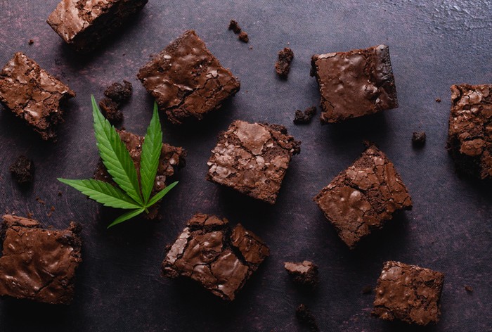 Duh! 3 Siswi Sekolah Bergengsi Ini Tak Sengaja Makan Brownies Ganja