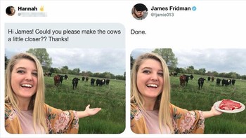 Sesuai permintaan sapinya lebih dekat. Foto: doc James Fridman