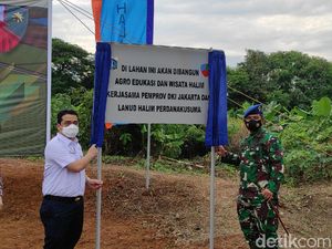 Pemprov DKI Bangun Agrowisata di Lanud Halim, Wagub: Untuk Edukasi Anak-anak
