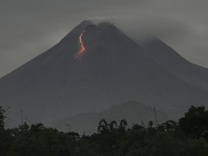 Merapi Muntahkan 42 Kali Guguran Lava Pijar