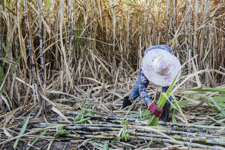 Ini Alasan Mengapa Makanan Jawa Rasanya Dominan Manis