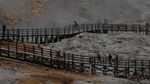 Jumlah Wisatawan ke Dieng Turun 70 Persen