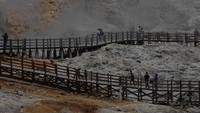 Menurut pengelola tempat wisata kawasan Dieng, sejak penerapan Pemberlakuan Pembatasan Kegiatan Masyarakat (PPKM) jumlah kunjungan wisatawan menurun hingga 70 persen dibandingkan sebelumnya.
