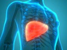 Usia 30-an Kini Banyak yang Kena Fatty Liver, Gejalanya Sering Terabaikan
