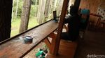 Foto Tempat Ngopi Adem di Bandung, Mejanya di Bawah Pohon Pinus