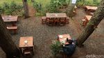 Foto Tempat Ngopi Adem di Bandung, Mejanya di Bawah Pohon Pinus