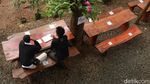 Foto Tempat Ngopi Adem di Bandung, Mejanya di Bawah Pohon Pinus