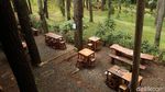 Foto Tempat Ngopi Adem di Bandung, Mejanya di Bawah Pohon Pinus