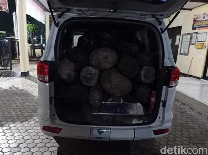 pembalakan liar di situbondo