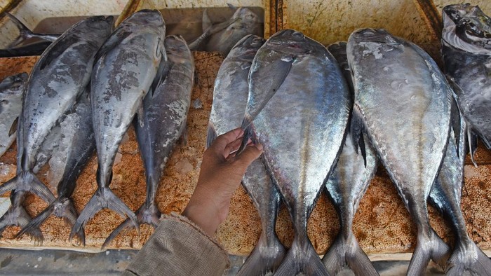 Pedagang ikan melayani pembeli di Pasar Perikanan Nusantara Karangantu, di Kasemen, Serang, Banten, Sabtu (27/2/2021). Menurut Menteri Kelautan dan Perikanan Sakti Wahyu Trenggono angka konsumsi ikan nasional tahun 2020 naik 3,47 persen menjadi 56,39 kg/kapita dibanding tahun 2019 sebesar 54,5 kg/kapita dan ditargetkan akan naik menjadi 62,5 kg/perkapita pada tahun 2024. ANTARA FOTO/Asep Fathulrahman/aww.