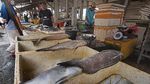 Konsumi Ikan Nasional Terus Meningkat