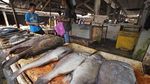 Konsumi Ikan Nasional Terus Meningkat
