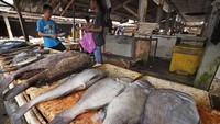 Ditargetkan angka konsumsi ikan nasional akan terus naik menjadi 62,5 kg/perkapita pada tahun 2024.