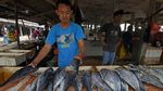 Konsumi Ikan Nasional Terus Meningkat