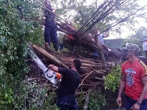 Angin Kencang, Pohon Tua-Tiang Listrik Depan RS Tentara Kota Ambon Tumbang