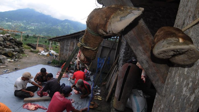 TRADISI POTONG SAPI WARGA KAKI GUNUNG MERAPI Sejumlah warga memotong daging sapi saat Tradisi Potong Sapi Rejeb di Stabelan, Tlogolelel, Jawa Tengah, Sabtu (27/2/2021). Tradisi potong sapi yang telah dilakukan turun temurun oleh warga kaki Gunung Merapi pada bulan Rejeb penanggalan Jawa tersebut sebagai wujud syukur dan permohonan perlindungan kepada Tuhan Yang Maha Esa, serta wujud guyub rukun antarwarga. ANTARA FOTO/Aloysius Jarot Nugroho/aww.