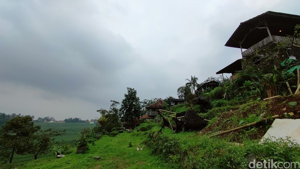 Pengunjung yang datang ke Ciboer Pass juga berkesempatan untuk ikut langsung menanam padi bersama para petani di sana. (Bima Bagaskara/detikcom) Pengunjung yang datang ke Ciboer Pass juga berkesempatan untuk ikut langsung menanam padi bersama para petani di sana. (Bima Bagaskara/detikcom)